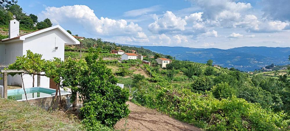 Quinta Dos Castros Douro Villa Baiao Exterior photo